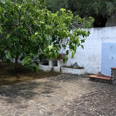 Enza Marina di Camerota